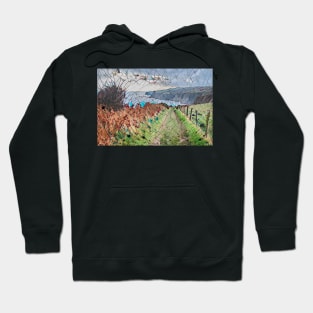 Cleveland Way North Yorkshire Coastline Art Print Hoodie